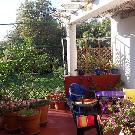 마자메 Les Camelias B&B 외부 사진