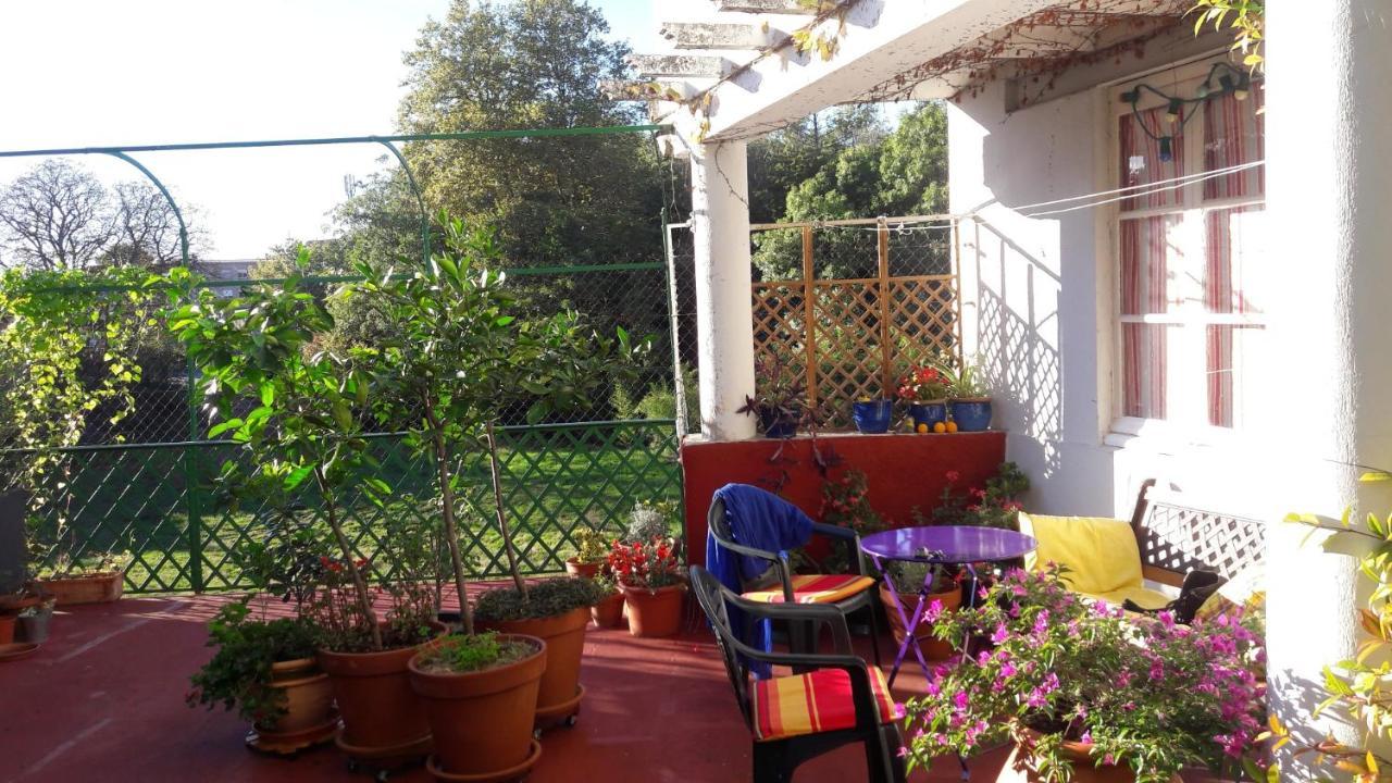 마자메 Les Camelias B&B 외부 사진