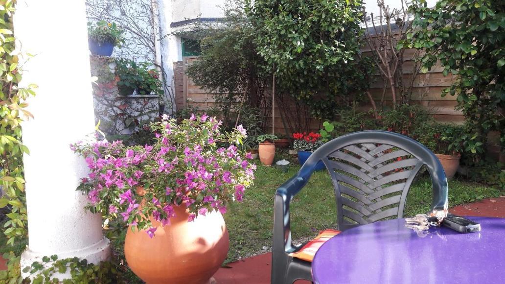 마자메 Les Camelias B&B 외부 사진
