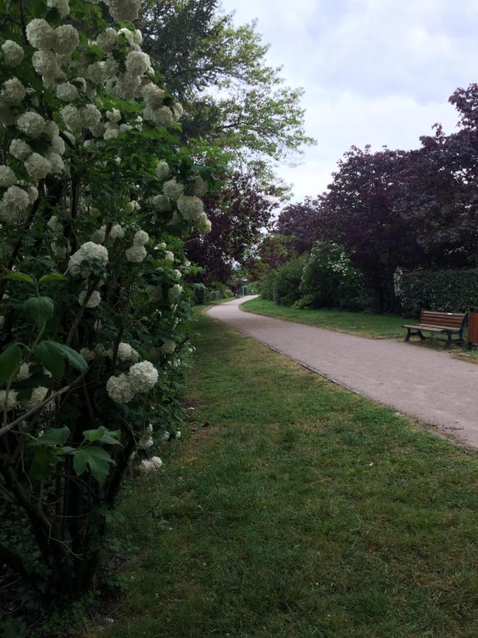 마자메 Les Camelias B&B 외부 사진
